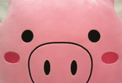 pig幣怎么提現 pig幣怎么提錢包