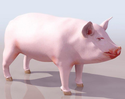 pig幣怎么提現 pig幣怎么提錢包