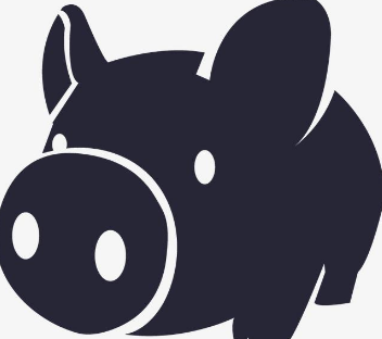 pig幣到底是什么東西 pig幣是什么時候開始的