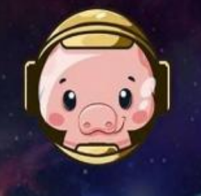 pig幣到底是什么東西 pig幣是什么時候開始的
