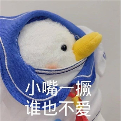 抖音爆火的個(gè)性聊天表情包 豐富一下你的表情包