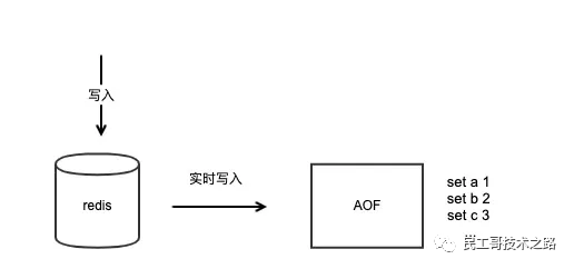 Redis 持久化是如何做的？一文聊聊 RDB和AOF對比分析