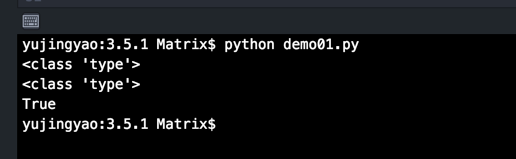 Python中的類與類型示例詳解