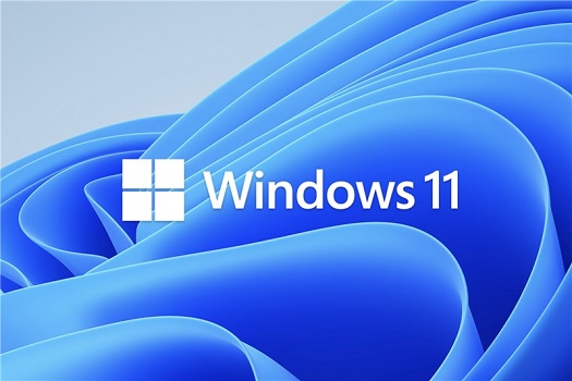 Win11外接顯示器沒反應怎么辦？