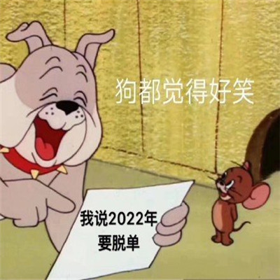 狗都覺得好笑的脫單表情包 被狗嘲笑的脫單聊天表情最新版