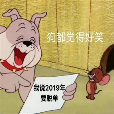 狗都覺得好笑的脫單表情包 被狗嘲笑的脫單聊天表情最新版