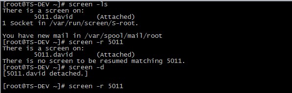 linux中 關于screen 的命令詳解