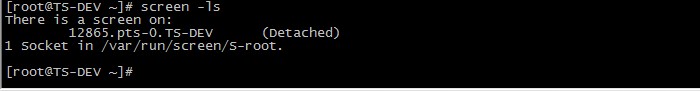 linux中 關于screen 的命令詳解
