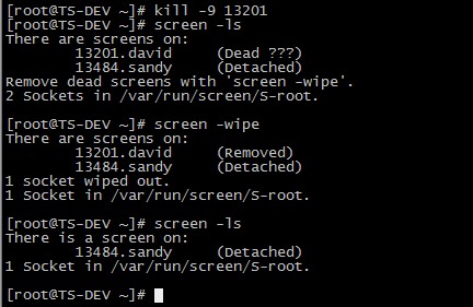 linux中 關于screen 的命令詳解