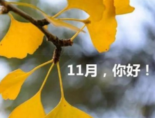 2021十月再見十一月你好心情說說 十月再見發朋友圈的短句