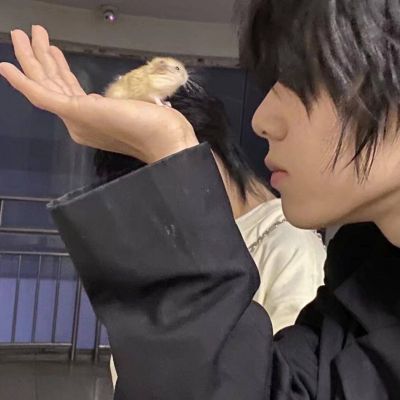 2021陽光帥氣清晰QQ男頭 都在用不同的方式長大誰也沒輕輕松松