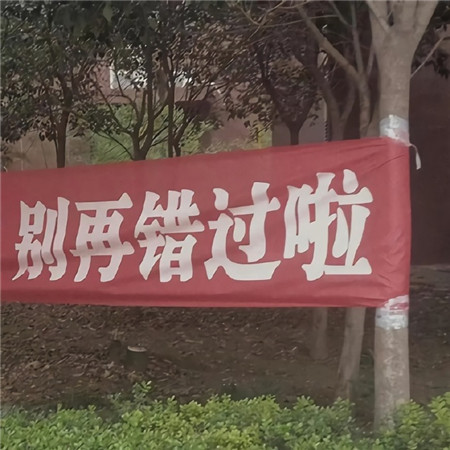 文字版很可愛的又很個性的素材 該用戶已停更有趣背景圖