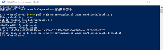 解析Docker 下拉取oracle 11g鏡像配置的問題