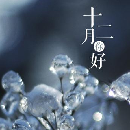 2021十一月再見十二月你好唯美圖片 十二月好事正釀大家都要如愿以償