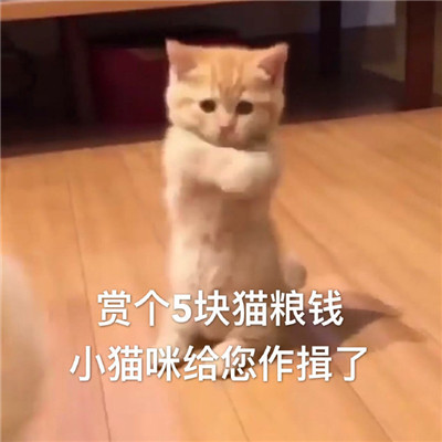 火爆全網(wǎng)的微信聊天表情 一起做廣播體操嗎