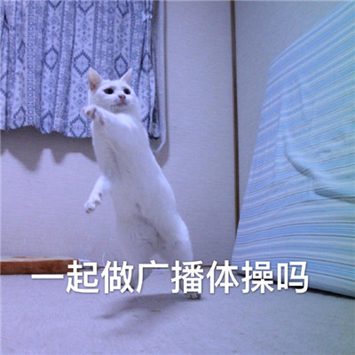 火爆全網(wǎng)的微信聊天表情 一起做廣播體操嗎