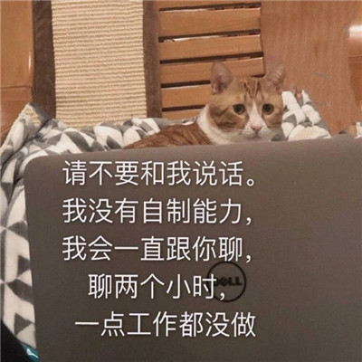火爆全網(wǎng)的微信聊天表情 一起做廣播體操嗎