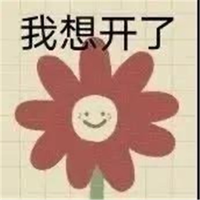 很日常的很實(shí)用的聊天表情 今天我就把話放著了