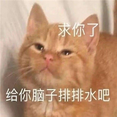 很日常的很實(shí)用的聊天表情 今天我就把話放著了