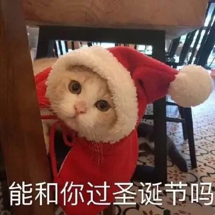 2021微信頭像圣誕帽子怎么弄？微信頭像加圣誕帽方法