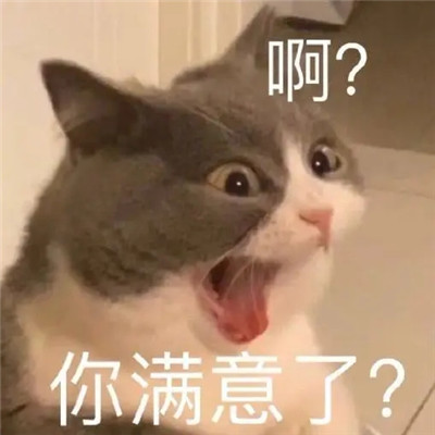 2022全新吵架專用聊天表情合集 你爸爸我絕不認輸