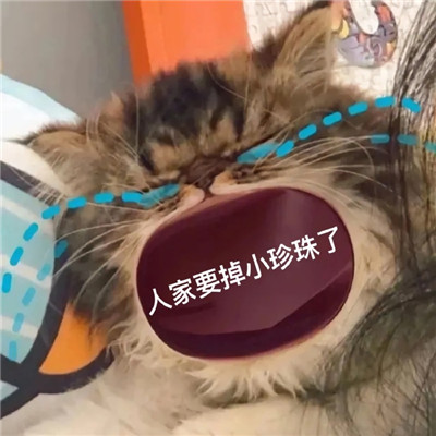 鬧脾氣專用表情包合集 再也快樂不起來了