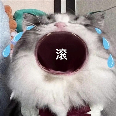 鬧脾氣專用表情包合集 再也快樂不起來了