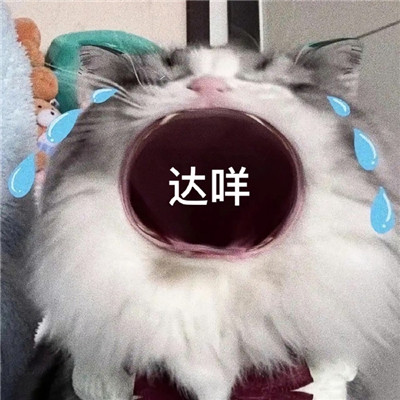鬧脾氣專用表情包合集 再也快樂不起來了