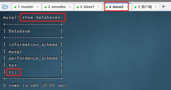 Mysql數(shù)據(jù)庫的主從復(fù)制與讀寫分離精講教程