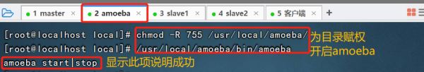 Mysql數(shù)據(jù)庫的主從復(fù)制與讀寫分離精講教程