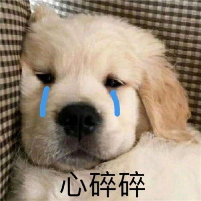 qq很沙雕的表情最新版搞笑 這個臺階你要不要下