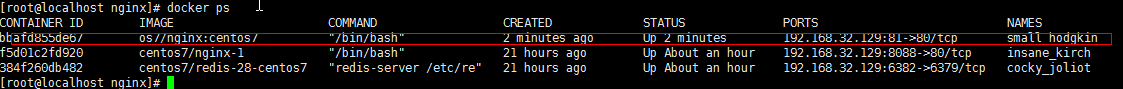 CentOS7 Docker Nginx部署及運行詳解