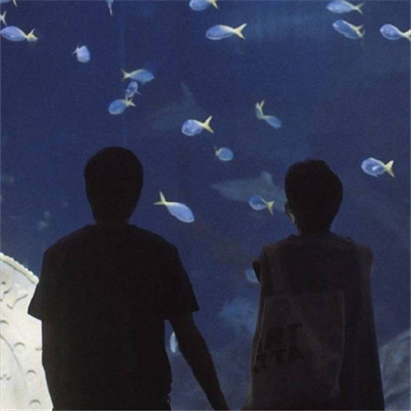 泰劇以你的心詮釋我的愛男主圖片高清最新 普吉島的夏天永不停歇