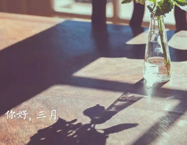 二月再見三月你好傷感說說 2022三月請我好一點心情短句