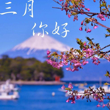 2022二月再見三月你好圖片唯美 告別二月迎接新的三月素材合集