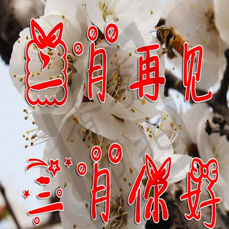 2022二月再見三月你好圖片唯美 告別二月迎接新的三月素材合集
