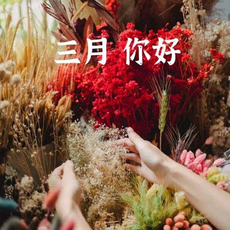 2022二月再見三月你好圖片唯美 告別二月迎接新的三月素材合集