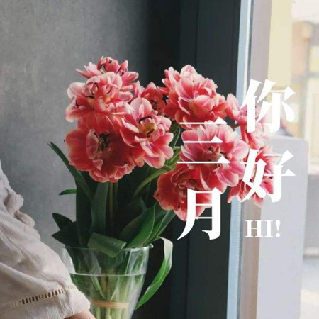 2022二月再見三月你好圖片唯美 告別二月迎接新的三月素材合集