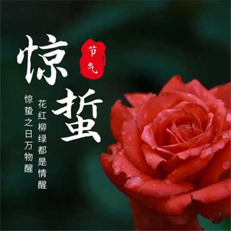 2022驚蟄節氣高清唯美微信圖片合集 驚蟄春雷響視界萬物生