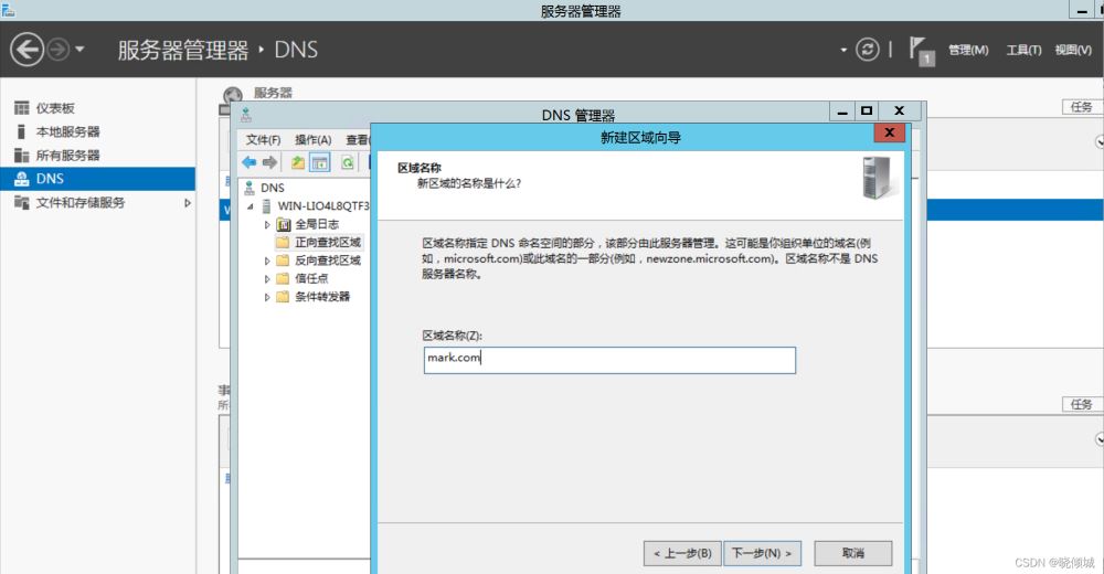 教你搭建dns服務(wù)器(圖文教程)