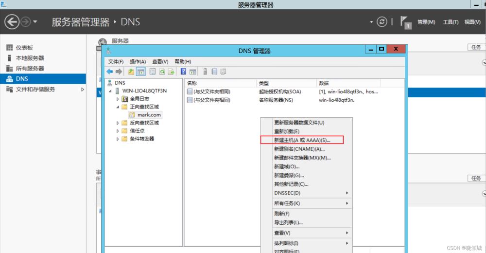 教你搭建dns服務(wù)器(圖文教程)