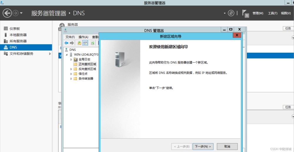 教你搭建dns服務(wù)器(圖文教程)