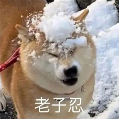 2022很好用的表情超級有趣 你在偷偷想男人嗎