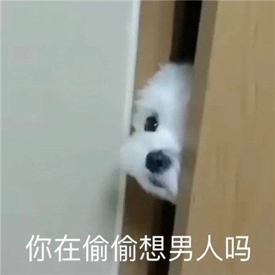 2022很好用的表情超級有趣 你在偷偷想男人嗎