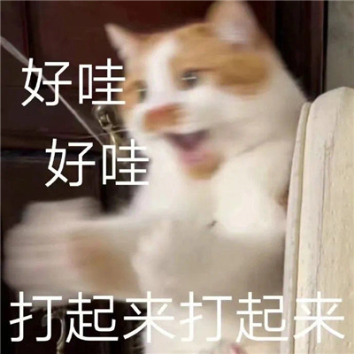 2022很好用的表情超級有趣 你在偷偷想男人嗎