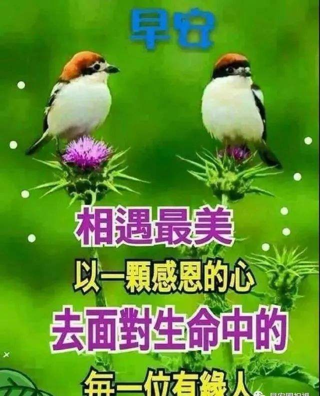 早上好圖片 最新圖片_2022早安最火圖片_早上好各種圖片大全