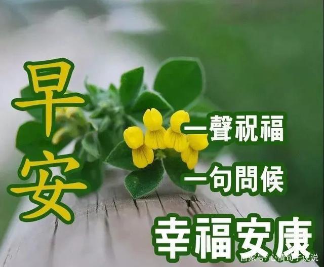 早上好圖片 最新圖片_2022早安最火圖片_早上好各種圖片大全