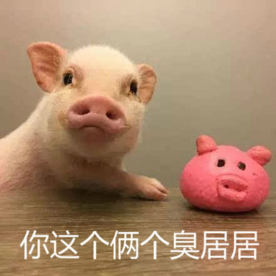 臭居居是什么梗 網絡用語臭居居是什么意思