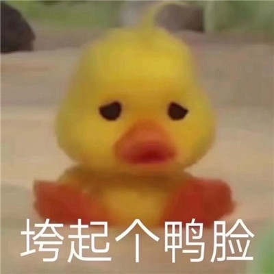 沙雕搞怪的聊天表情最新 讓你收獲好心情的表情大全