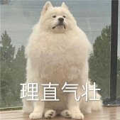 斗圖必備的聊天表情最新版 很有實用的斗圖經典表情合集2022